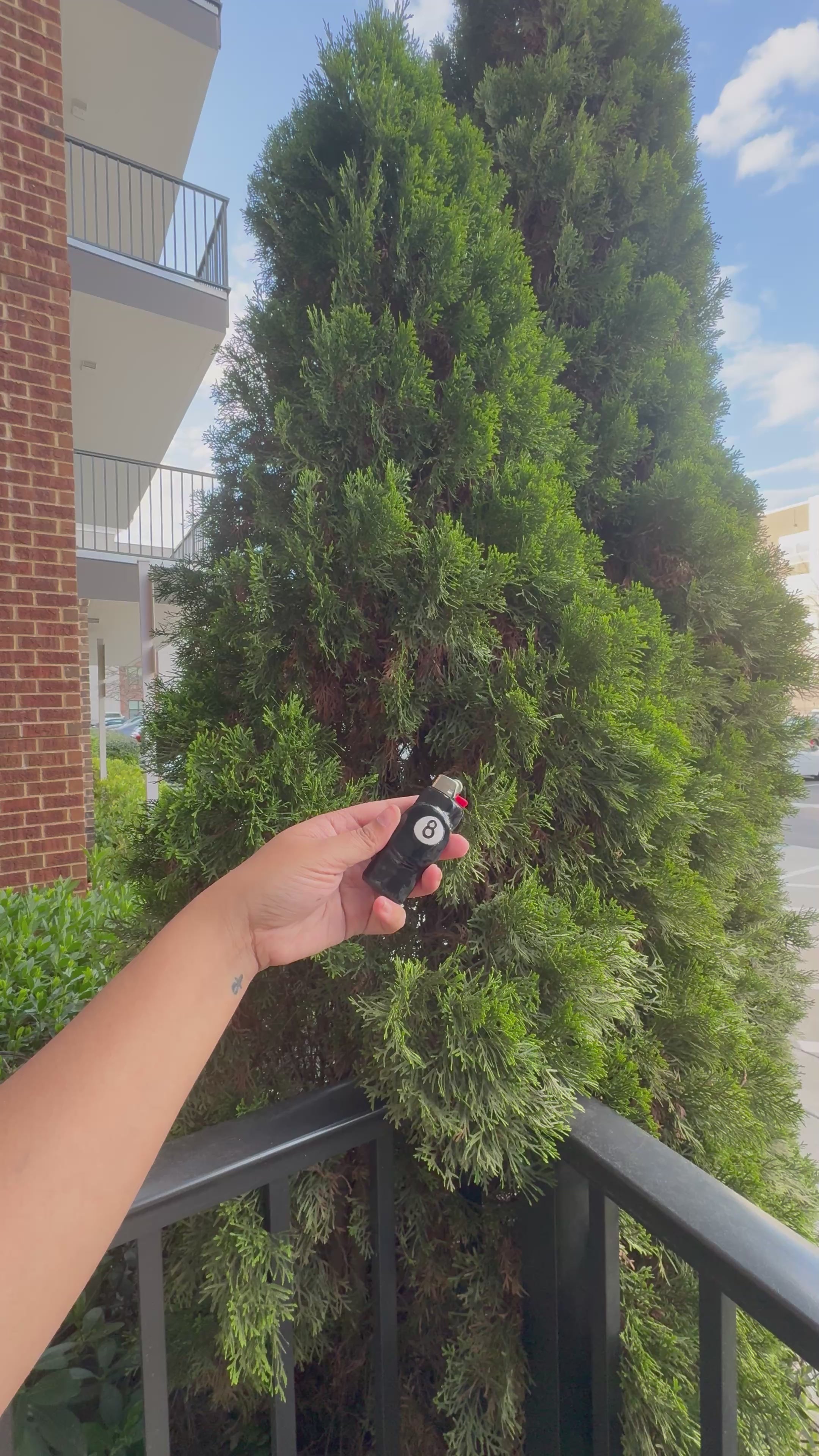 LUCKY SHOT 🎱- Handmade Lighter Case